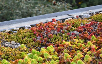 the cost of Burstallhill green roof installation