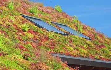 Burstallhill living roof systems