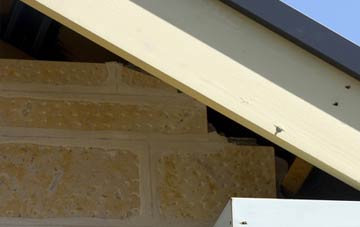 soffit repair Burstallhill